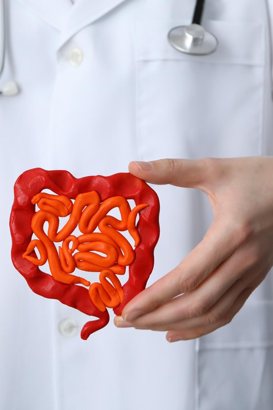 Gut Health IV